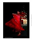 Flamenco Canvas Paintings - Flamenco Of Fire